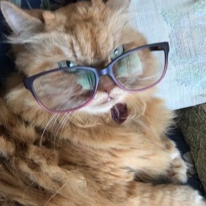 Meet your Posher, Marlene